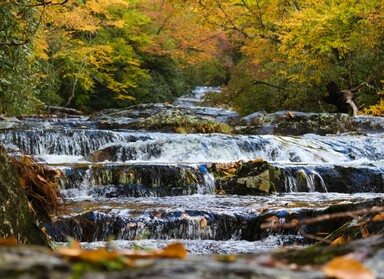 Photo by Jeff Dewitt on Unsplash